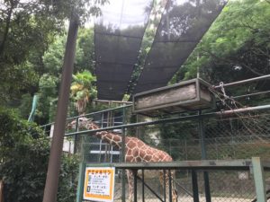 福岡市動物園 株式会社ラコルタ ライフ サポート